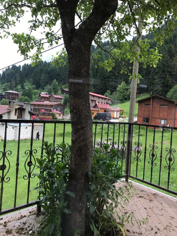 Guesthouse Dolunay Ayder Yaylasi Exterior photo
