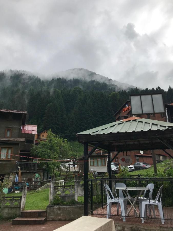 Guesthouse Dolunay Ayder Yaylasi Exterior photo